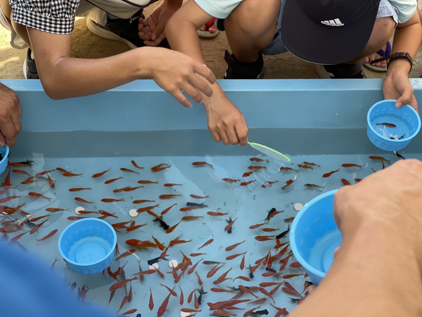 高槻まつり出店の協力